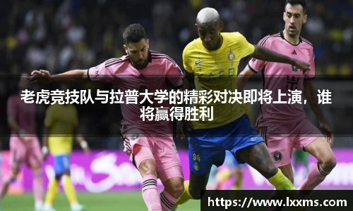 竞技宝平台官网入口