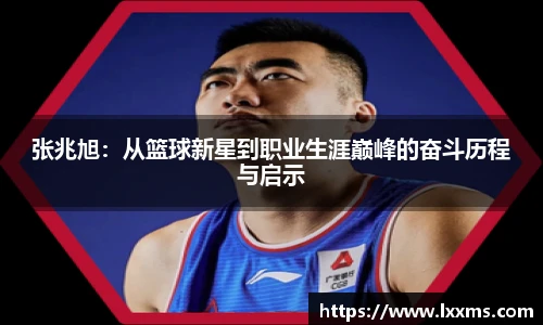 竞技宝平台官网入口